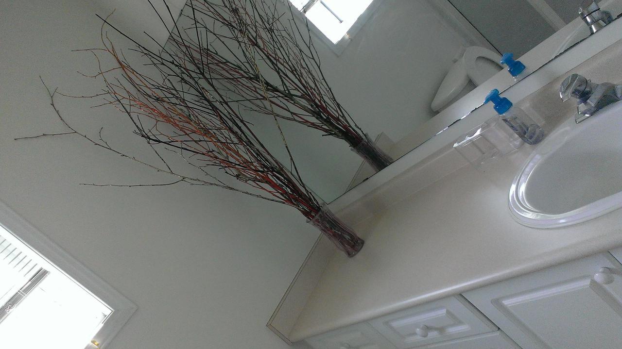 ווטרלו Hb Guest Home 5 מראה חיצוני תמונה